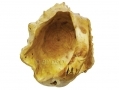 Apollo 20cm Hand Crafted Burr Wood Fruit Basket Cracked Side AP7099-RTN1 (DO NOT LIST) *Out of Stock*