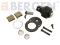 BERGEN Repair Kit for 3/8\" 72 Teeth Ratchet BER0990 *Out of Stock*