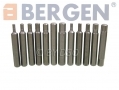 BERGEN Professional 40 Piece Hex, Star and Spline Bit Set BER1109 *Out of Stock*