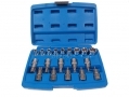 BERGEN 19PC 1/2\" Dr. Torx Bit and E Socket Set BER1146 *Out of Stock*