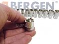 BERGEN Professional 13 Piece 1/4\" Drive Single Hex Socket Set 4-14mm BER1150 *Out of Stock*