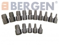 BERGEN Professional 15 Piece Screw Extractor 14 mm Missing BER2520-RTN1 (DO NOT LIST) *Out of Stock*