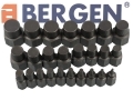 BERGEN Professional 25 Piece Screw Extractor Set BER2578 *Out of Stock*