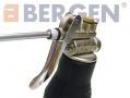 BERGEN Professional Oil Gun with Angled and Straight Spouts Horizontal and Vertical Position BER3041 *Out of Stock*