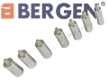 BERGEN Trade Quality Self Adjusting Clutch Tool Set BER6119 *Out of Stock*