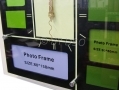 Photo Frame Clock D12635/D *Out of Stock*
