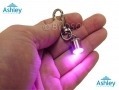 Ashley Housewares High Visibility LED Safety Pet Light DC150 *Out of Stock*