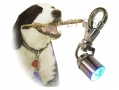 Ashley Housewares High Visibility LED Safety Pet Light DC150 *Out of Stock*