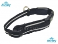 Ashley Housewares Small LED Dog Safety Collar 20 - 30cm DC151*OUT OF STOCK*