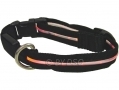 Ashley Housewares Small LED Dog Safety Collar 20 - 30cm DC151*OUT OF STOCK*