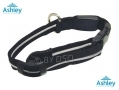 Ashley Housewares Medium LED Dog Safety Collar 25 - 50cm DC152