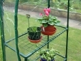 Green Blade Walk in Garden Greenhouse with Shelving GH250 *Out of Stock*