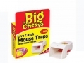 THE BIG CHEESE Live Catch Pre Baited Ready To Use Mouse Trap Humane Control Twin Pack STV155 *Out of Stock*