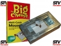 THE BIG CHEESE Multi-Catch Mouse Trap Self Setting For Multiple Catch Large  STV177 *Out of Stock*