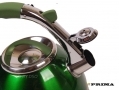 Prima 3.5L Stainless Steel Whistling kettle with Silicone Handle in Green 11145C *Out of Stock*