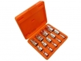 Smoos Professional 15 Pce Torx Set in Blow Moulded Case 1261ERASM *Out of Stock*