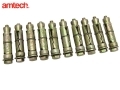 Am-Tech Trade Quality 10Pc Rawl Type Expansion Bolts M6 x 50mm Zinc Coated AMS5910 *Out of Stock*