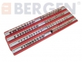 BERGEN Professional Quality 80 pc Socket Rail 1/4\", 3/8\" and 1/2\" Inch BER0982 *Out of Stock*