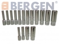 BERGEN Professional 42 Piece 1/4\" Drive Metric and AF Socket Set BER1001 *Out of Stock*