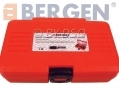 BERGEN 9 Piece Unversal Hubcap and Wheel Lock Removal Kit BER1321 *Out of Stock*