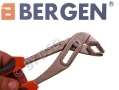 BERGEN Professional 5 pce Pliers Set in Zipped Canvas Case BER1745 *Out of Stock*
