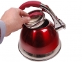 Anika 3 Litre Stainless Steel Whistling Kettle in Red  with Silicone Handle BML66760 *Out of Stock*