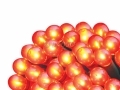 50 Christmas Red Berry String Lights BML78160 *Out of Stock*