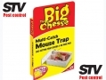 THE BIG CHEESE Multi-Catch Mouse Trap Self Setting For Multiple Catch - Small STV162 *Out of Stock*