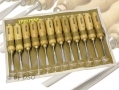 Trade Quality 12 Pc Professional Wood Carving Chisel Set WW171 *Out of Stock*